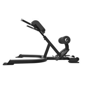 máquina para entrenar la extensión de espalda FBC12