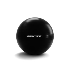 Gym Ball 65cm Negra