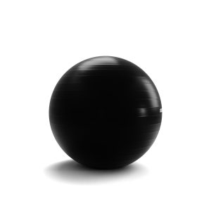 Gym Ball 65cm Negra