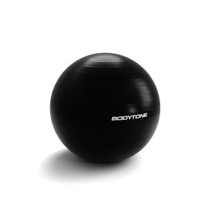 Gym Ball 65cm Negra