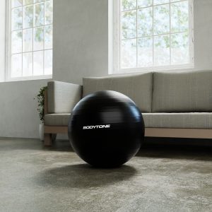 Gym Ball 65cm Negra